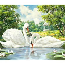 Схема вышивки «Лебеди.»