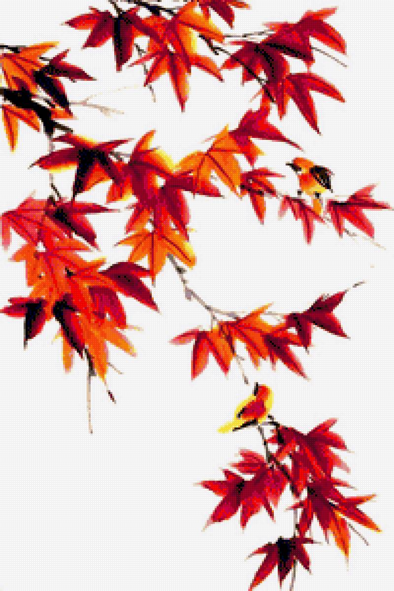японский клен - японский рисунок, ветка, клен, осень - предпросмотр