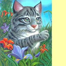 Схема вышивки «Котик.»