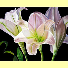 Схема вышивки «Белые лилии.»