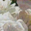 Предпросмотр схемы вышивки «цветы» (№1984599)