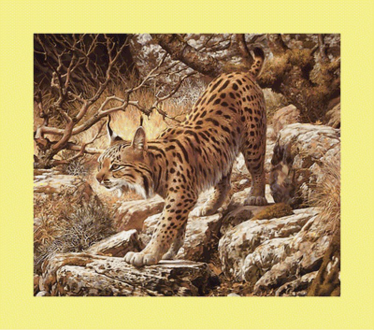 Рысь. - хищник, рысь - предпросмотр