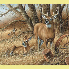 Схема вышивки «Олени.»