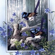 Схема вышивки «Серия "Птицы"»