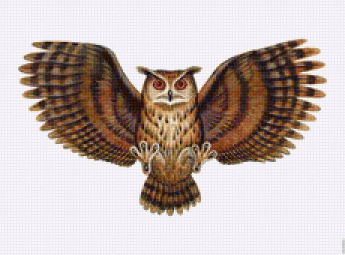 птицы - сова - предпросмотр