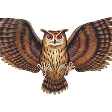 Схема вышивки «птицы»