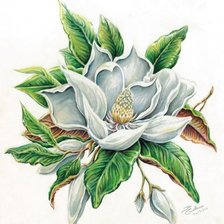 Схема вышивки «цветы»