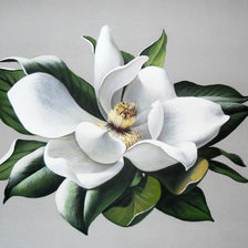 Схема вышивки «цветы»