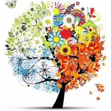 Дерево времена года