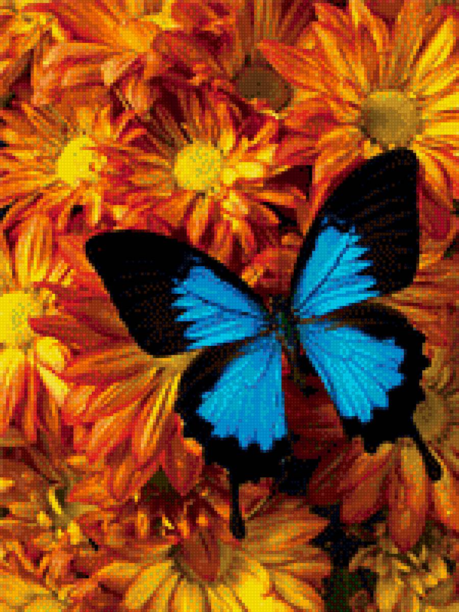 бабочка на цветах - бобочки, цветы - предпросмотр