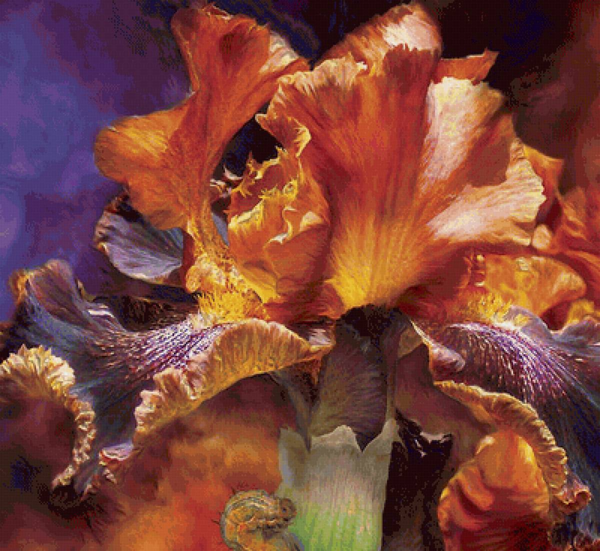 Ирис - красивые картинки - предпросмотр