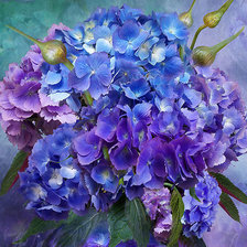 Схема вышивки «Голубая Гортензия»