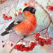 Схема вышивки «акварель»