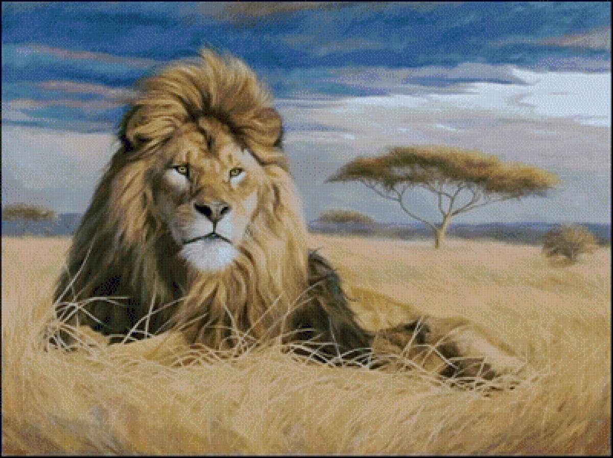 King of the Pride. - scenarys.animals. - предпросмотр