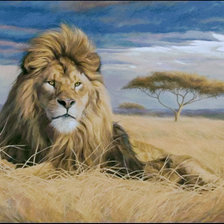 Схема вышивки «King of the Pride.»