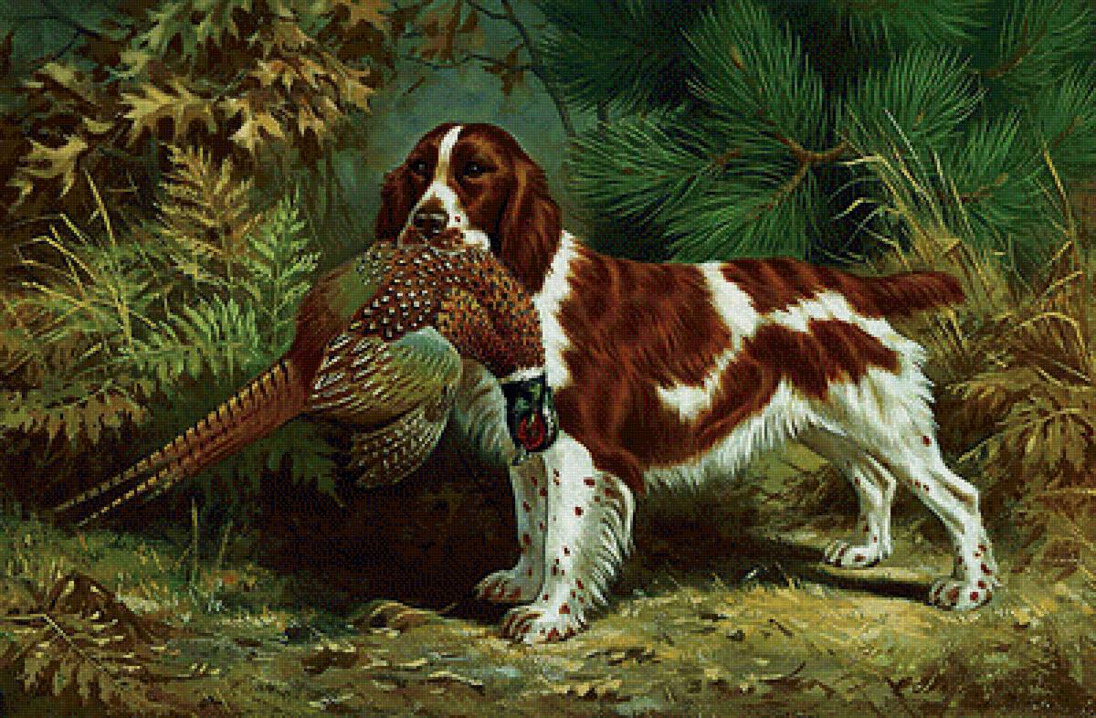 Охота - добыча, собака - предпросмотр