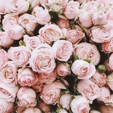 Схема вышивки «БУКЕТ»