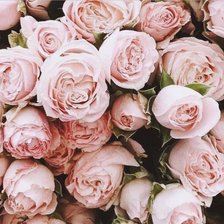 Схема вышивки «БУКЕТ 2»