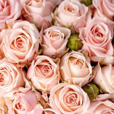 Схема вышивки «БУКЕТ»