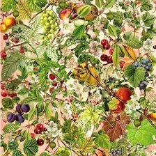 Схема вышивки «фруктовый сад»