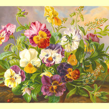 Схема вышивки «Анютины глазки.»