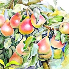 Схема вышивки «акварель»