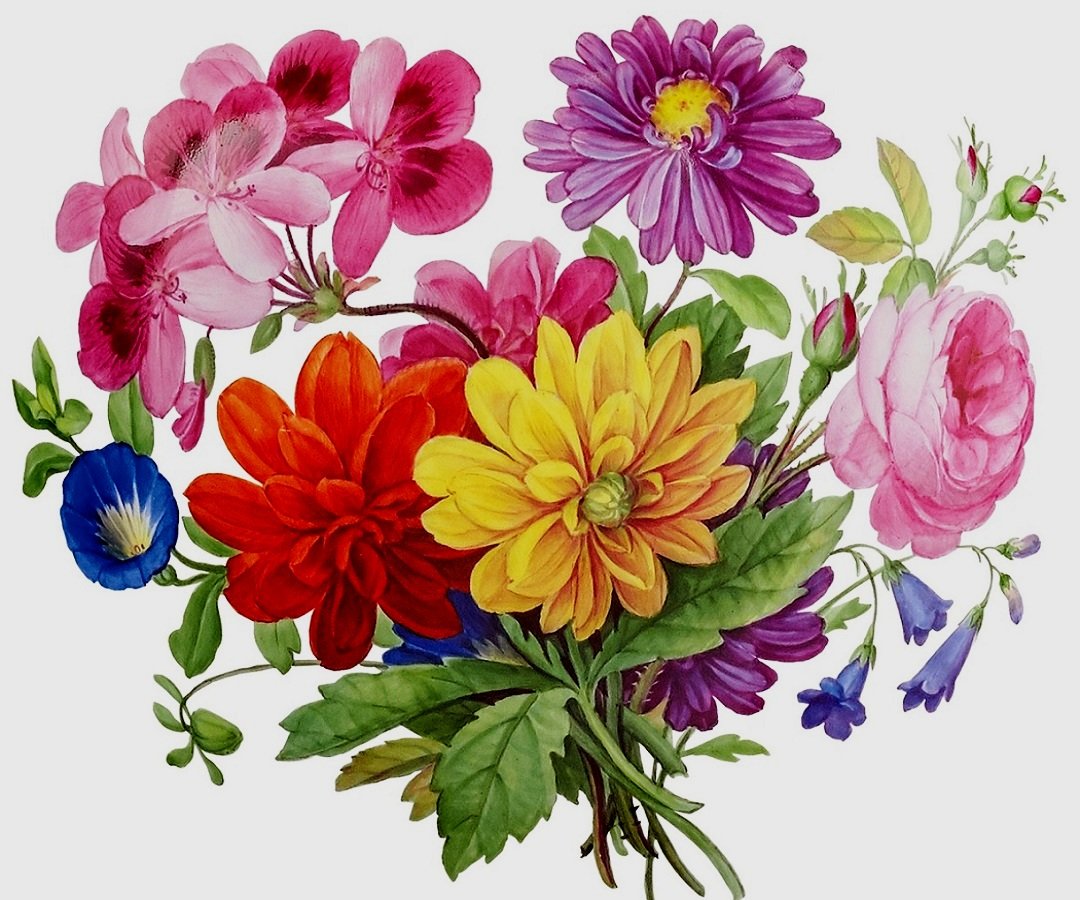 kytica - оригинал