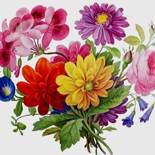 Схема вышивки «kytica»