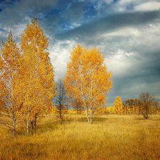 Схема вышивки «№1986413»