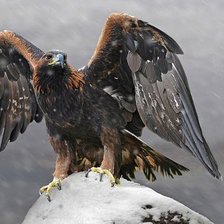 Схема вышивки «птицы»