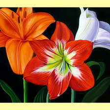 Схема вышивки «Лилии.»