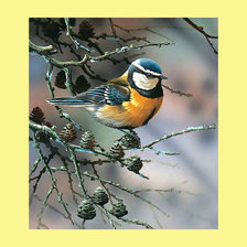 Схема вышивки «Синичка.»