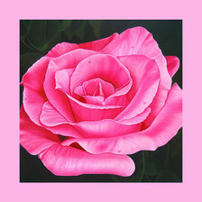 Схема вышивки «Роза.»