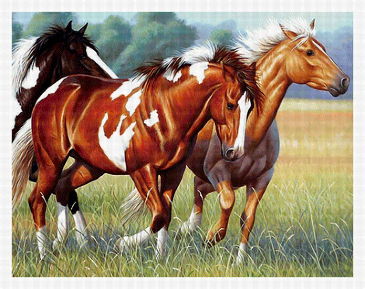 Серия "Кони" - кони, животные - предпросмотр