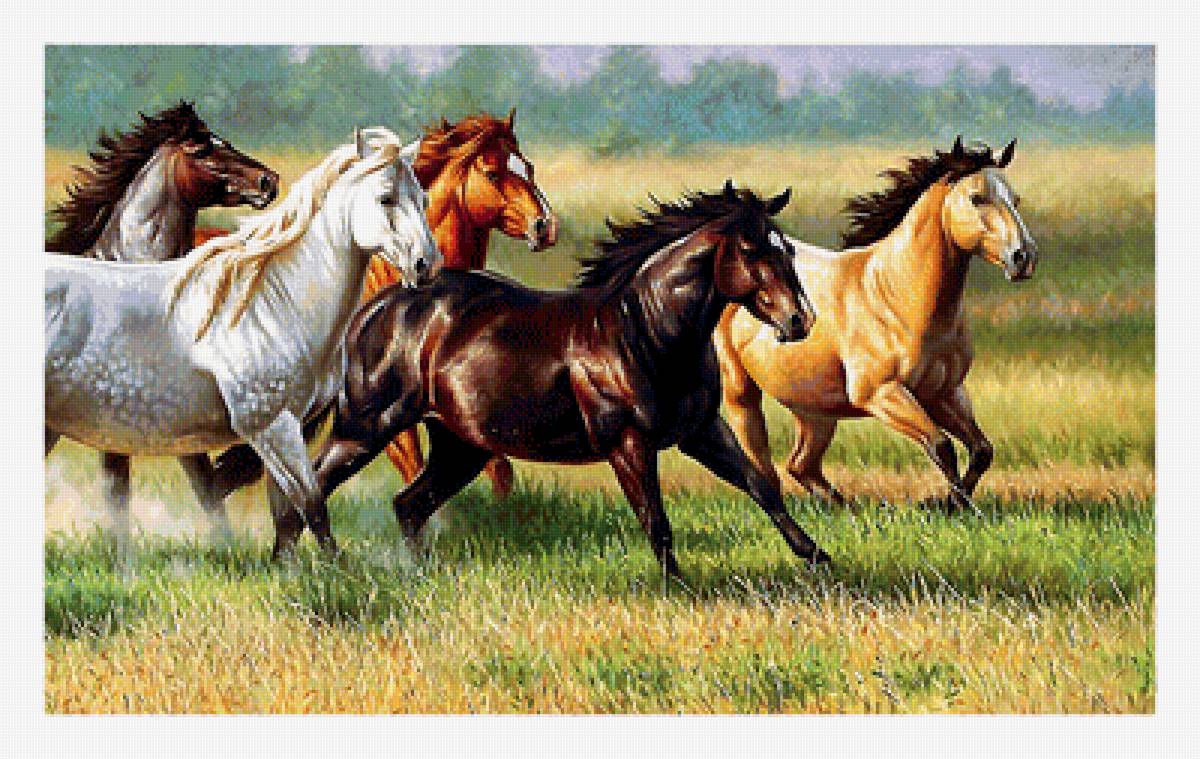 Серия "Кони" - животные, кони - предпросмотр