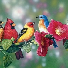 Схема вышивки «птицы»