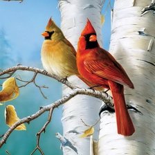 Схема вышивки «птицы»