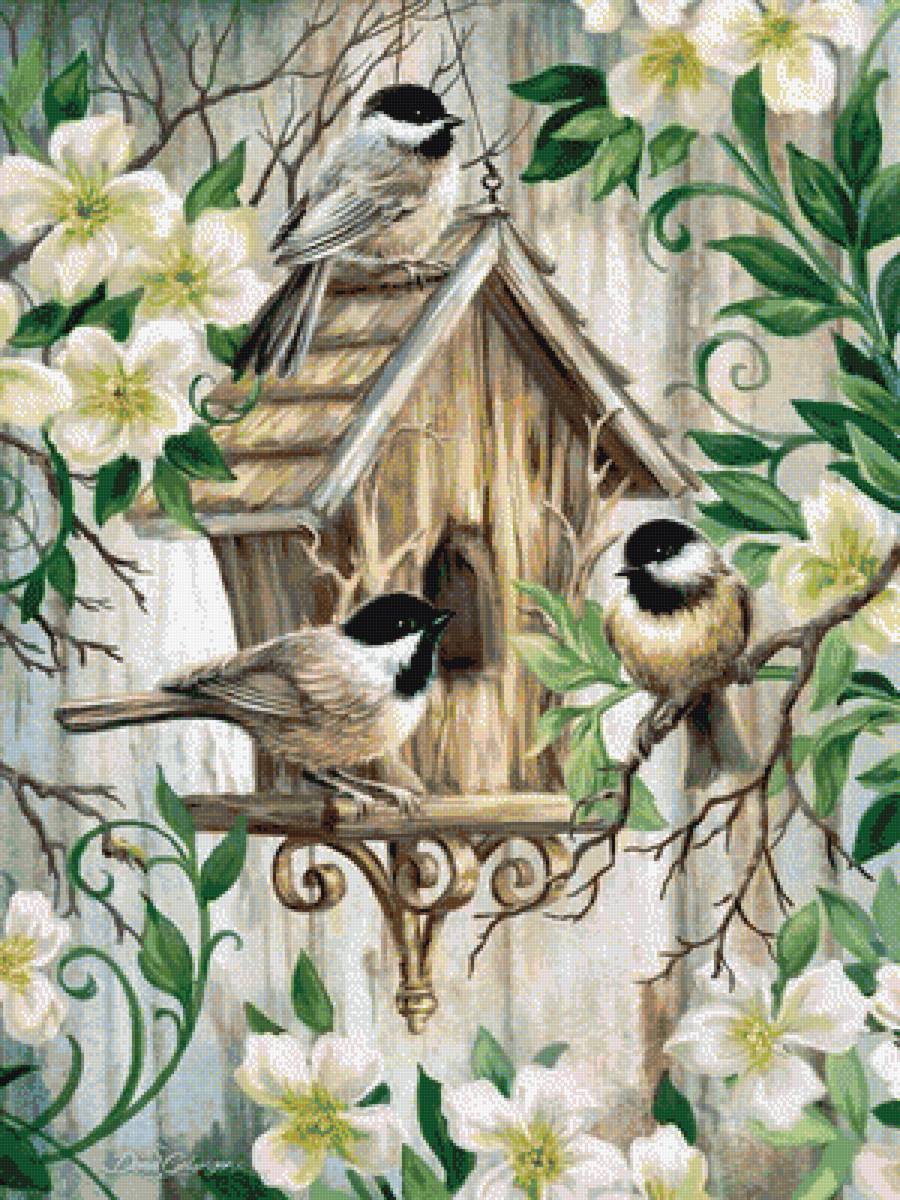 Птицы - фауна, птицы - предпросмотр