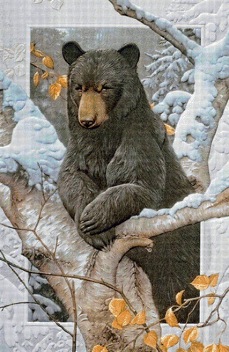 медведь - зима, медведь, животные - предпросмотр