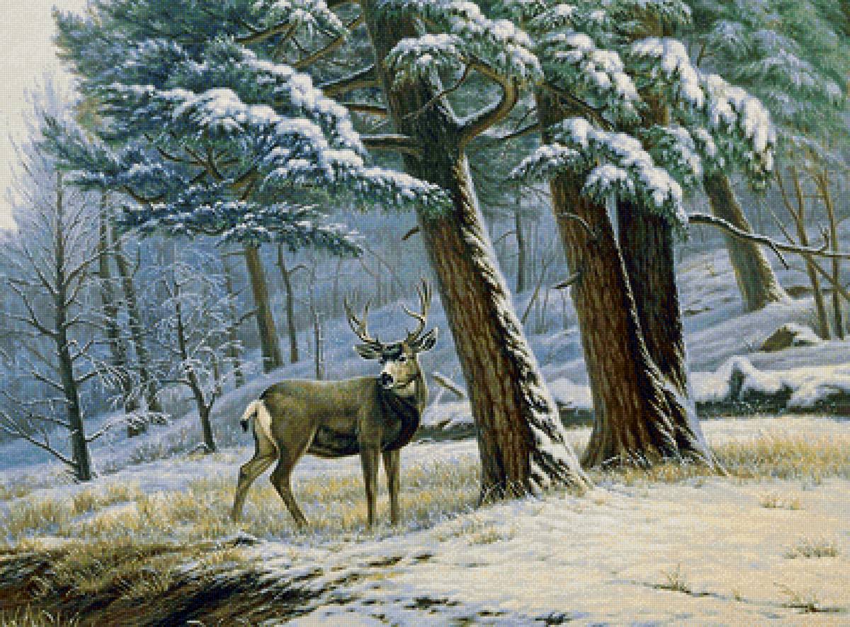 зимний лес - сосны, олень, зима, лес - предпросмотр