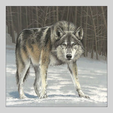 Схема вышивки «Волк.»