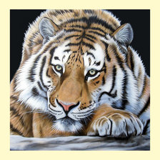 Схема вышивки «Тигруля.»