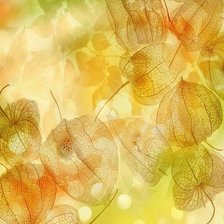 Схема вышивки «фазалис»