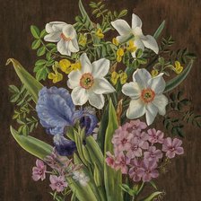 Схема вышивки «jarné kvety»