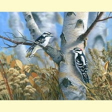 Схема вышивки «Дятлы.»