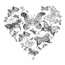 Схема вышивки «Бабочки»