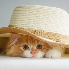 Схема вышивки «Котёнок»