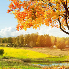 Схема вышивки «№1987877»