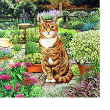 Схема вышивки «Котейка»