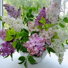 Схема вышивки «цветы»